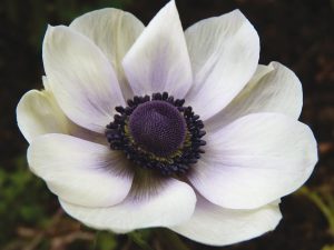 162